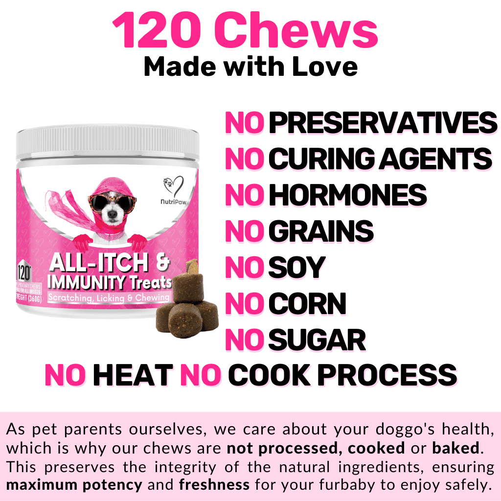 All-Itch & Immunity Treats