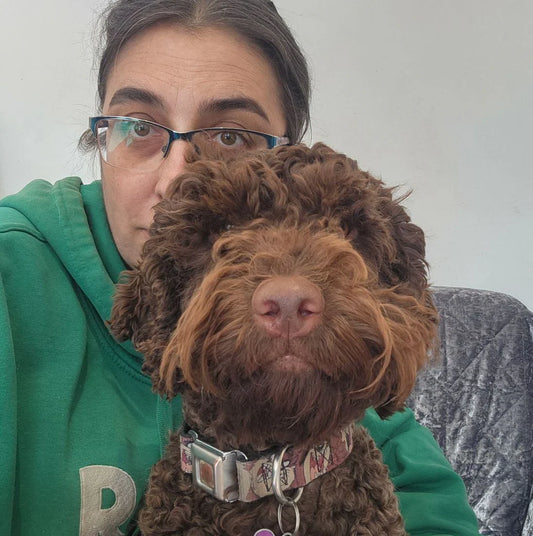 Read about how Sarah and her rescue dog found a way to travel stress free