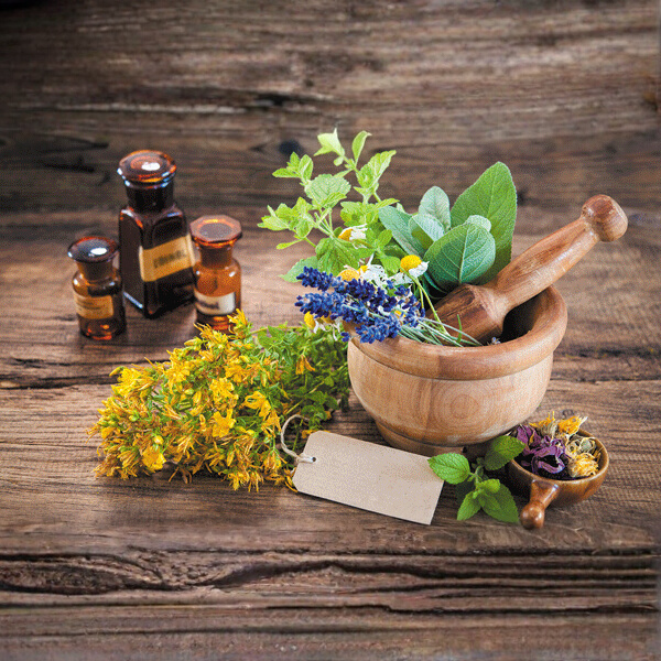 Natural Pet Supplements