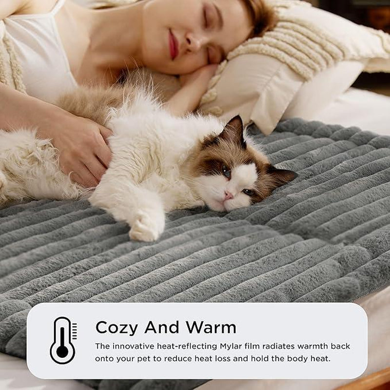 Self-Heating Bed