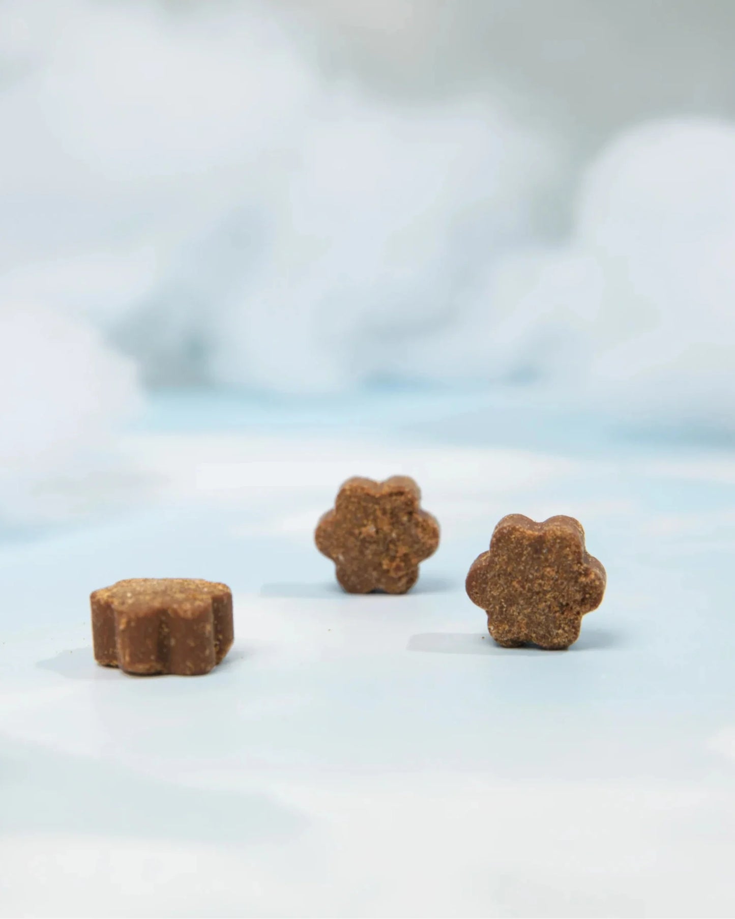 Dog Is Human Multivitamine