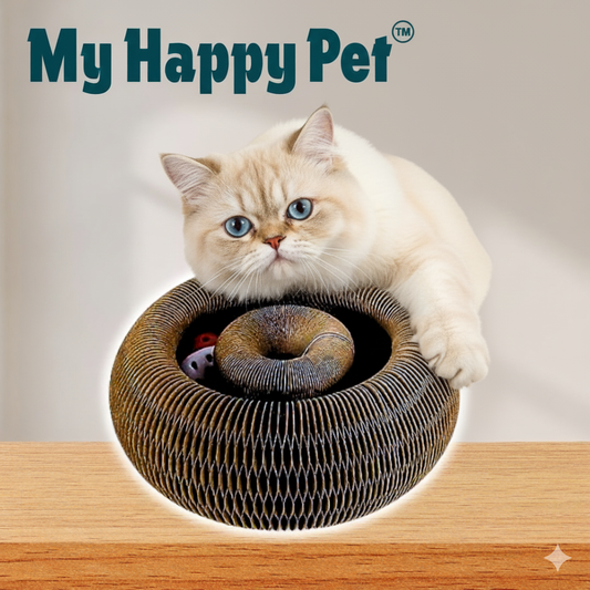 The Kitty Loop