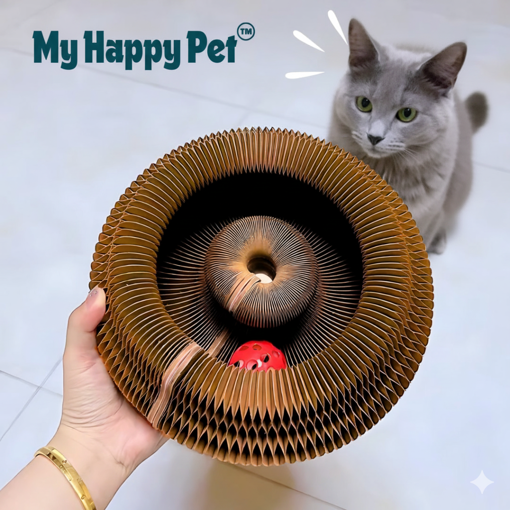 The Kitty Loop