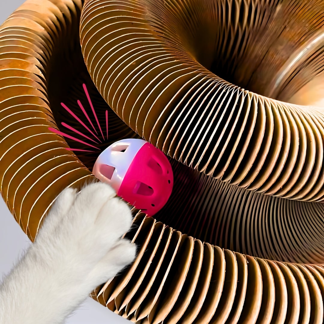 The Kitty Loop