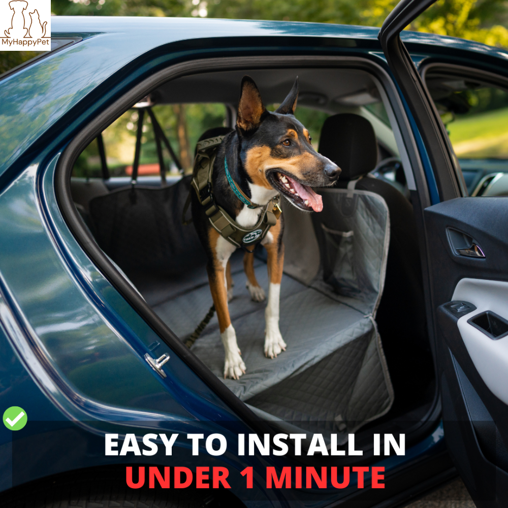 Waterproof Dog Car Hammock