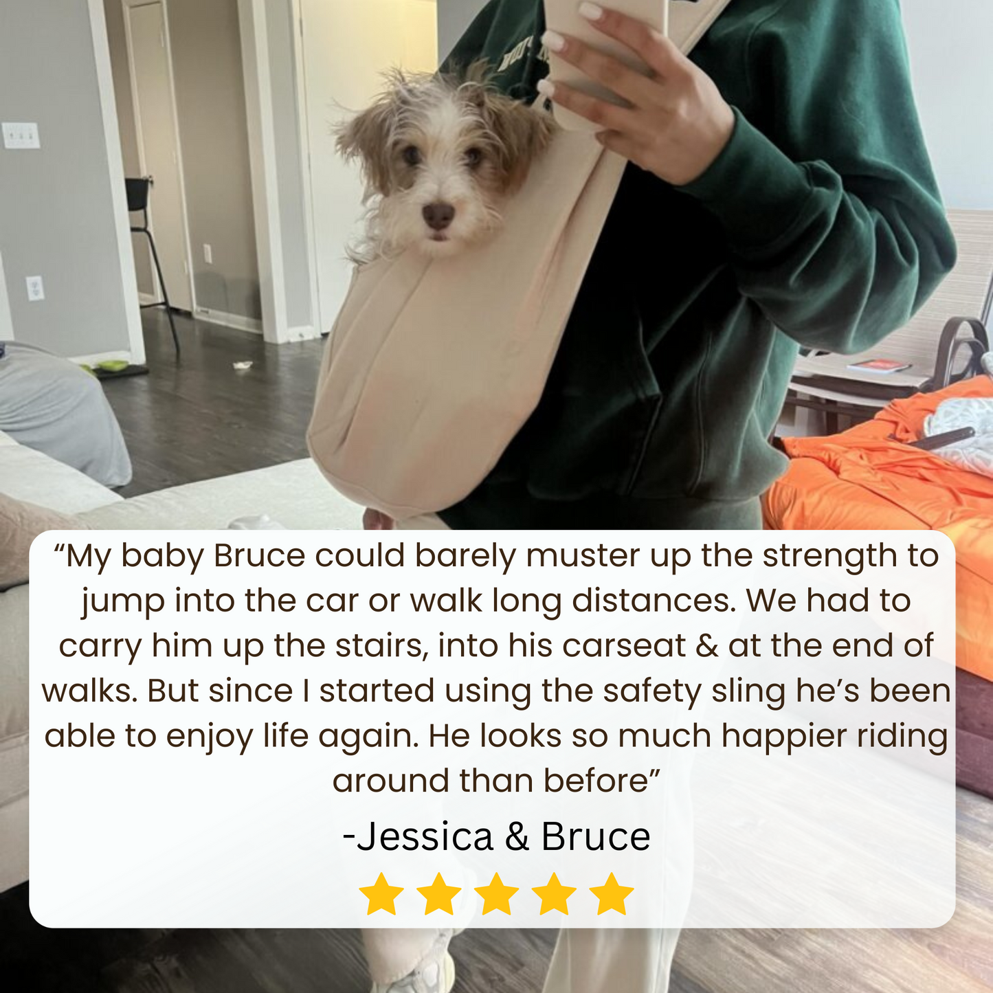 ComfortWrap for Pets