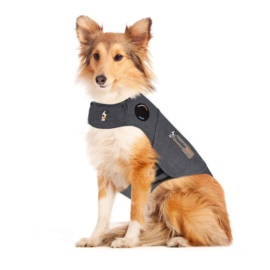 Anxiety Relief Vest For Dogs