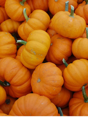 Organic Pumpkin