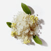 Boswellia Serrata Extract